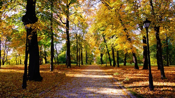 Őszi Park Kijev Ukrajna — Stock Fotó