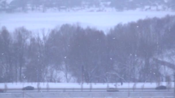 Neve Sta Lentamente Cadendo Sullo Sfondo Della Strada Della Foresta — Video Stock