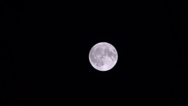 Pequena Lua Céu Estrelado — Vídeo de Stock