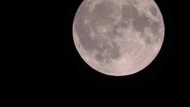 Moon Med Ett Ufo Som Flyger Runt — Stockvideo