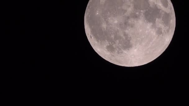 Moon Black Background Large Craters — Stock Video