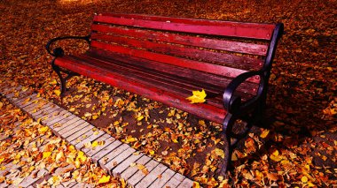 Kiev Ukrayna sonbahar parkında sırıtış