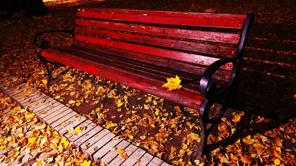 秋の公園でベンチの笑顔キエフウクライナ — ストック写真