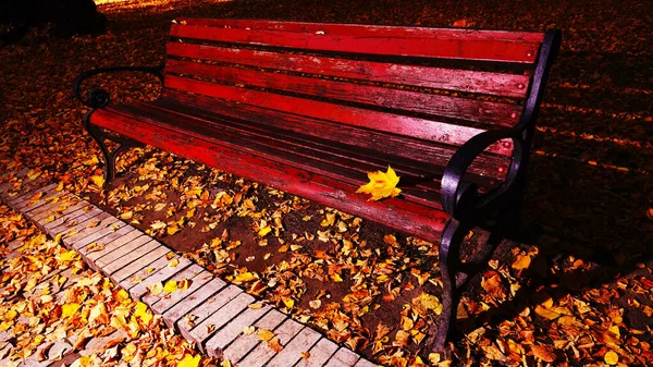 Bench Mosoly Őszi Parkban Kijev Ukrajna — Stock Fotó