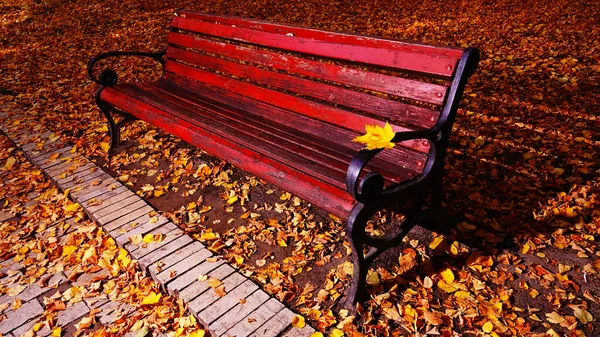 秋の公園でベンチの笑顔キエフウクライナ — ストック写真