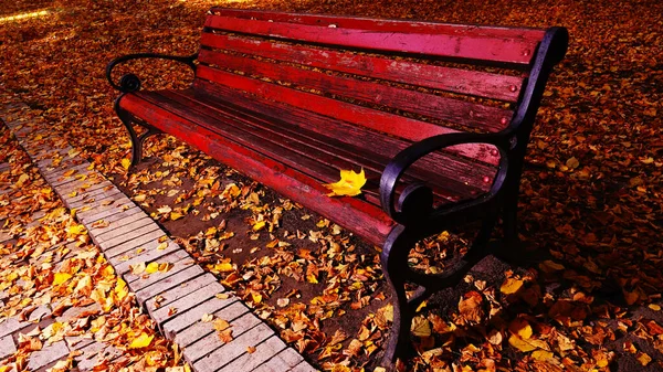 Bench Χαμόγελο Στο Πάρκο Φθινόπωρο Κίεβο Ουκρανία — Φωτογραφία Αρχείου