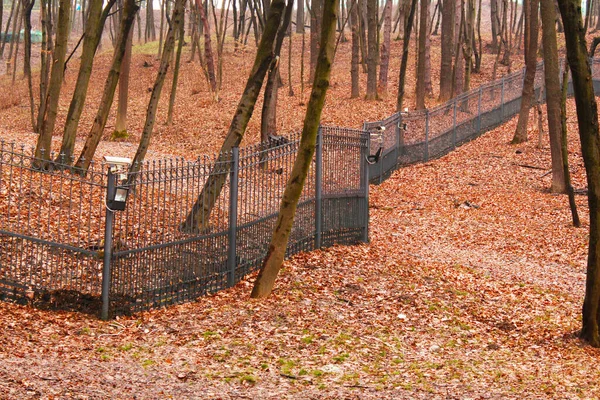 Valla Con Videovigilancia Bosque Otoño — Foto de Stock