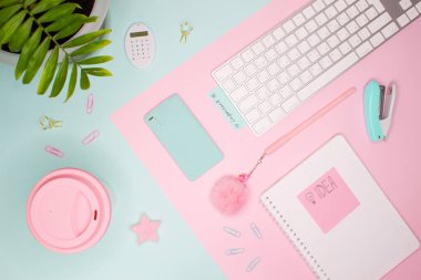 Renkli arka planda düz bir iş planı. Palmiye yaprağı, klavye, zımba, bardak ve not defteri.