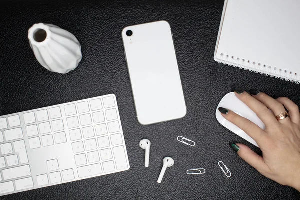 Flat layout of workplace. White office supplies and a plant on black leather background