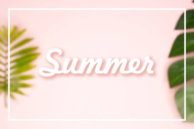 Palmiye ve canavar yaprakları ile pembe bulanık arka planda 