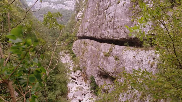 Karadağ dağlarında seyahat. Kanyon Mrtvica. 