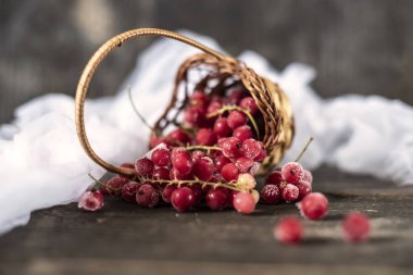 Maske, Coronavirus ve diğer virüslere karşı en iyi korumadır..