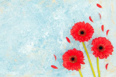 Taze bahar kırmızı çiçekler ve yapraklar mavi desenli arka plan üzerinde