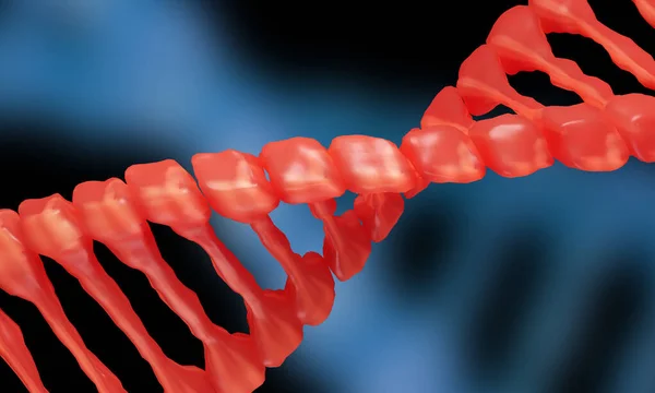 DNA yapısının dijital 3d modeli, 3d Hazırlama 