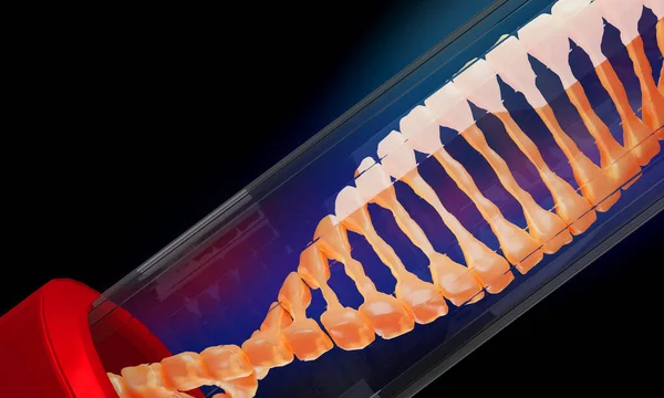 DNA yapısının dijital 3d modeli, 3d Hazırlama 
