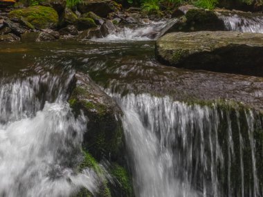Derin orman manzara şaşırtıcı şelale. 