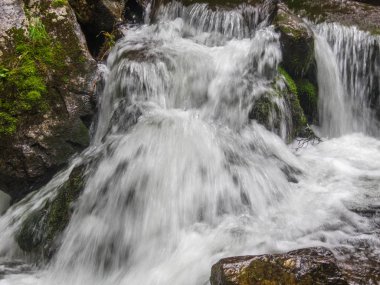 Derin orman manzara şaşırtıcı şelale. 