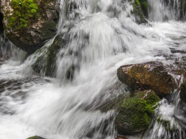 Derin orman manzara şaşırtıcı şelale. 
