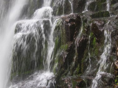 Derin orman manzara şaşırtıcı şelale. 