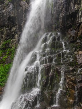 Derin orman manzara şaşırtıcı şelale. 