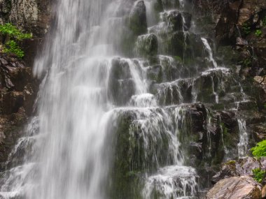 Derin orman manzara şaşırtıcı şelale. 