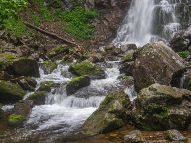 Derin orman manzara şaşırtıcı şelale. 