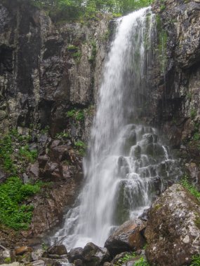 Derin orman manzara şaşırtıcı şelale. 