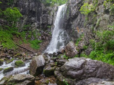 Derin orman manzara şaşırtıcı şelale. 
