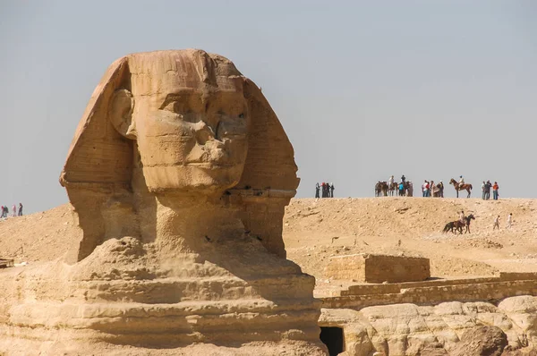 The face of the Sphinx. — Stock Photo, Image