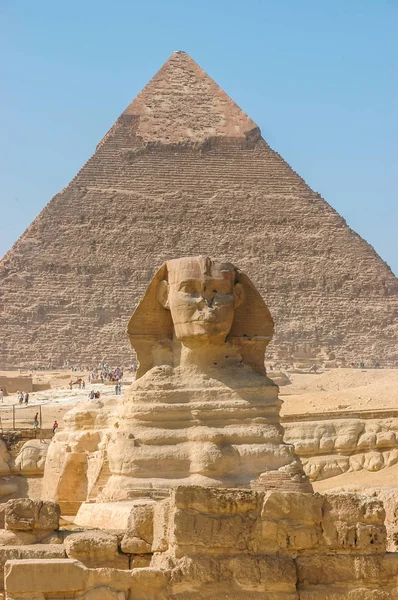 Sphinx on the background of the pyramid. The face of the Sphinx.