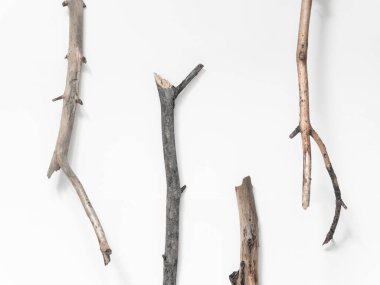 Beyaz arka planda kuru ağaç dalları. Düz konum, üst görünüm minimalist doğal bileşim