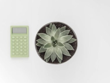 Beyaz arka planda sulu, hesap makinesi. Düz konum, üst görünüm minimalist doğal bileşim