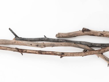 Beyaz arka planda kuru ağaç dalları. Düz konum, üst görünüm minimalist doğal bileşim