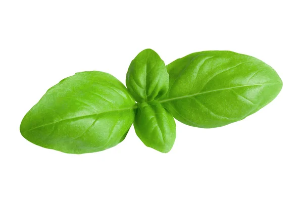 Geïsoleerde verse groene basilicum bladeren op witte achtergrond met clipping pad. Gezonde voeding close-up macro shot — Stockfoto