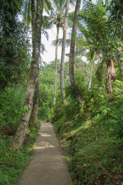 Taşların arasında renklere ulaşmak için dar bir yol..