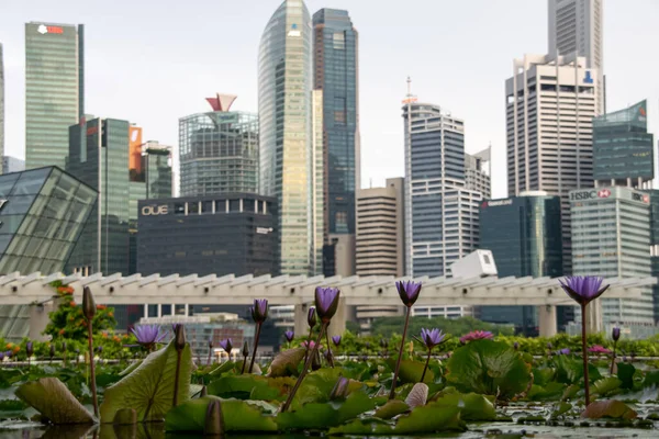 Nowoczesne Miasto Pejzaż Miasta Singapore — Zdjęcie stockowe