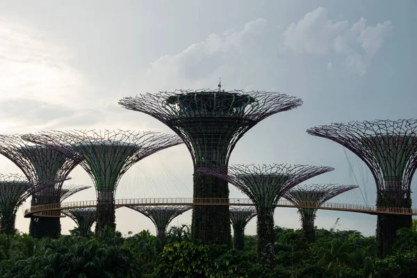 Ogród Botaniczny Singapore — Zdjęcie stockowe