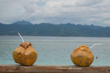 Masada hindistan cevizi ve plaj arka planı 