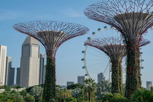 Ogród Botaniczny Singapore — Zdjęcie stockowe