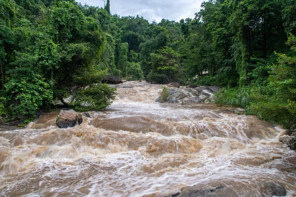Doğal parktan akan su 