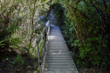 Yürürken yol, Habil Tasman