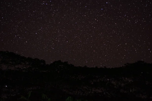 Панорамный Ночной Вид Полной Звезды — стоковое фото