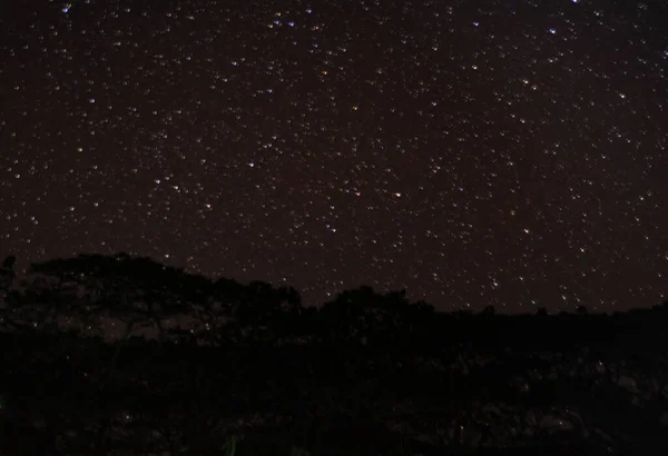 Панорамный Ночной Вид Полной Звезды — стоковое фото