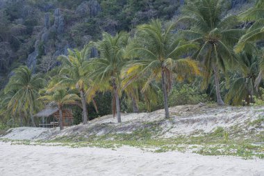 panoramik plaj manzarası, palawan, filipinler 