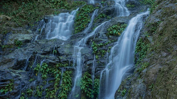 Taman Alam Puerto Galera — Stok Foto