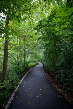 Central Park 'ın ortasında boş iz 