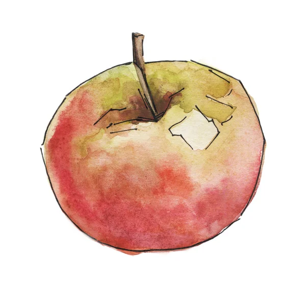 Акварельне яблуко на білому тлі — стокове фото
