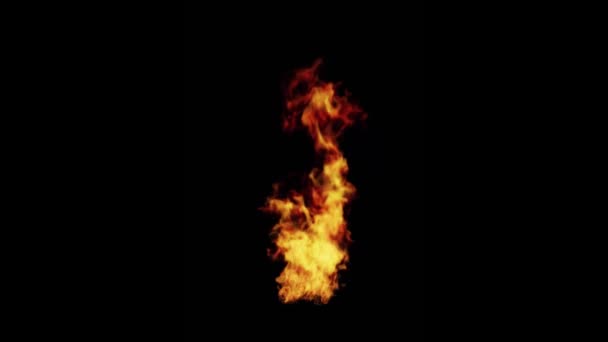 Φωτιά Φλόγες Μαύρο Φόντο — Αρχείο Βίντεο