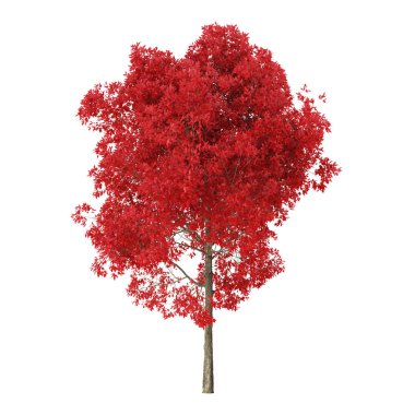Tree on a white background. Tree with red foliage. Clipping path included. 3D rendering.