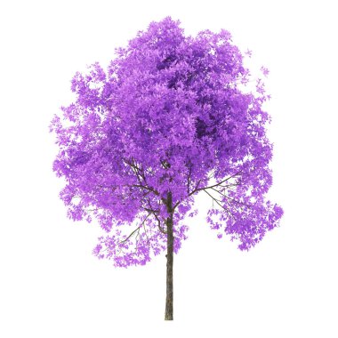 Beyaz arka planda bir ağaç. Mor yapraklı ağaç. Kırpma yolu dahil. 3d oluşturma.